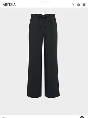 Aritzia lodge pant in crepette